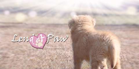 Lend A Paw Animal Rescue Inc.